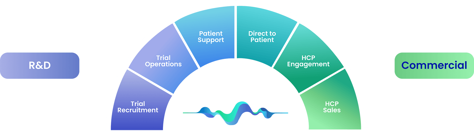 Semi circular infographic showing stages from Trial Recruitment to HCP Sales with RD on the left and Commercial on the right